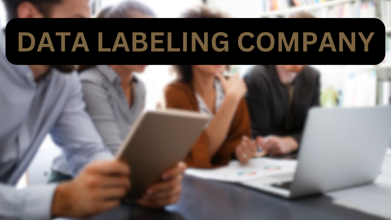 Data Labeling Company