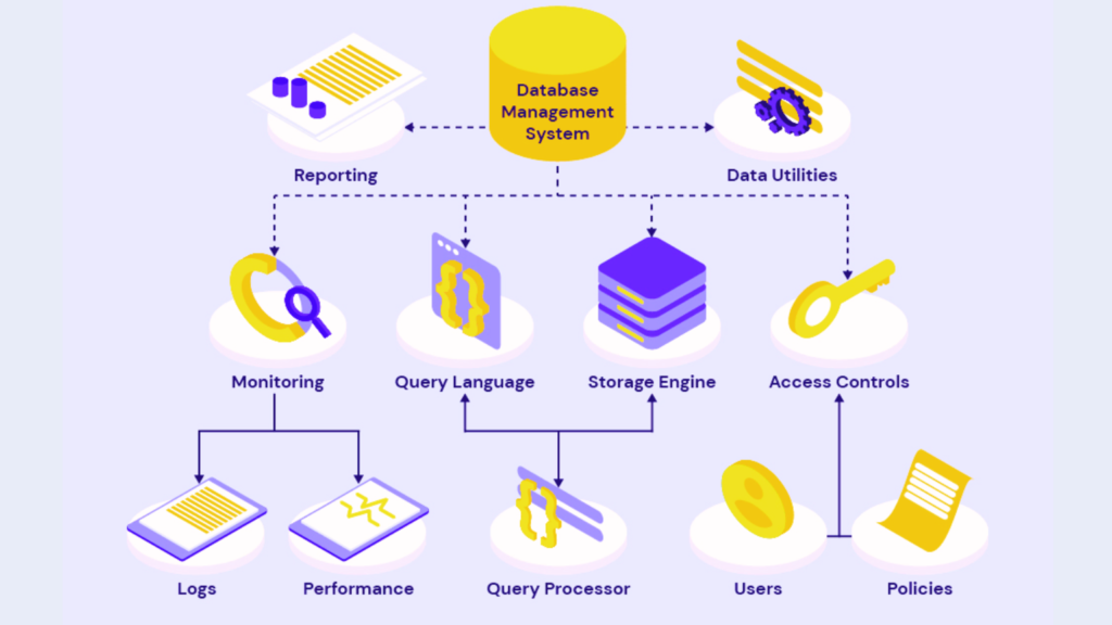 Data base Management system
Database vs Data Warehouse