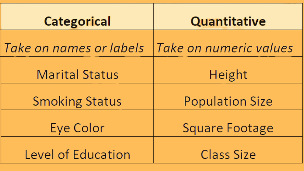 Numerical vs Categorical Data