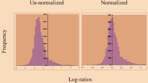 Standardization vs Normalization: A Guide to Data Cleaning and ...