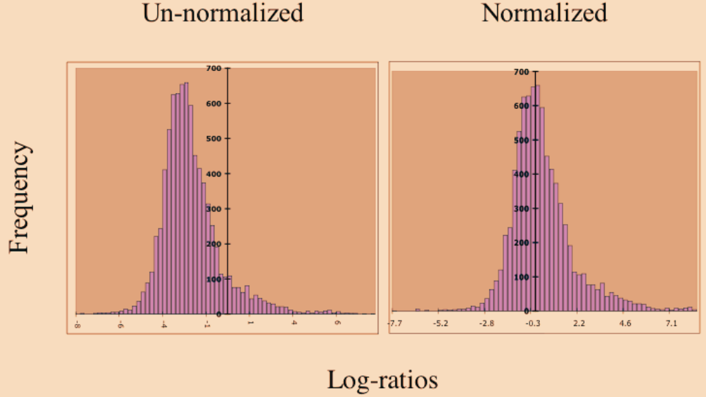 Standardization vs Normalization 
