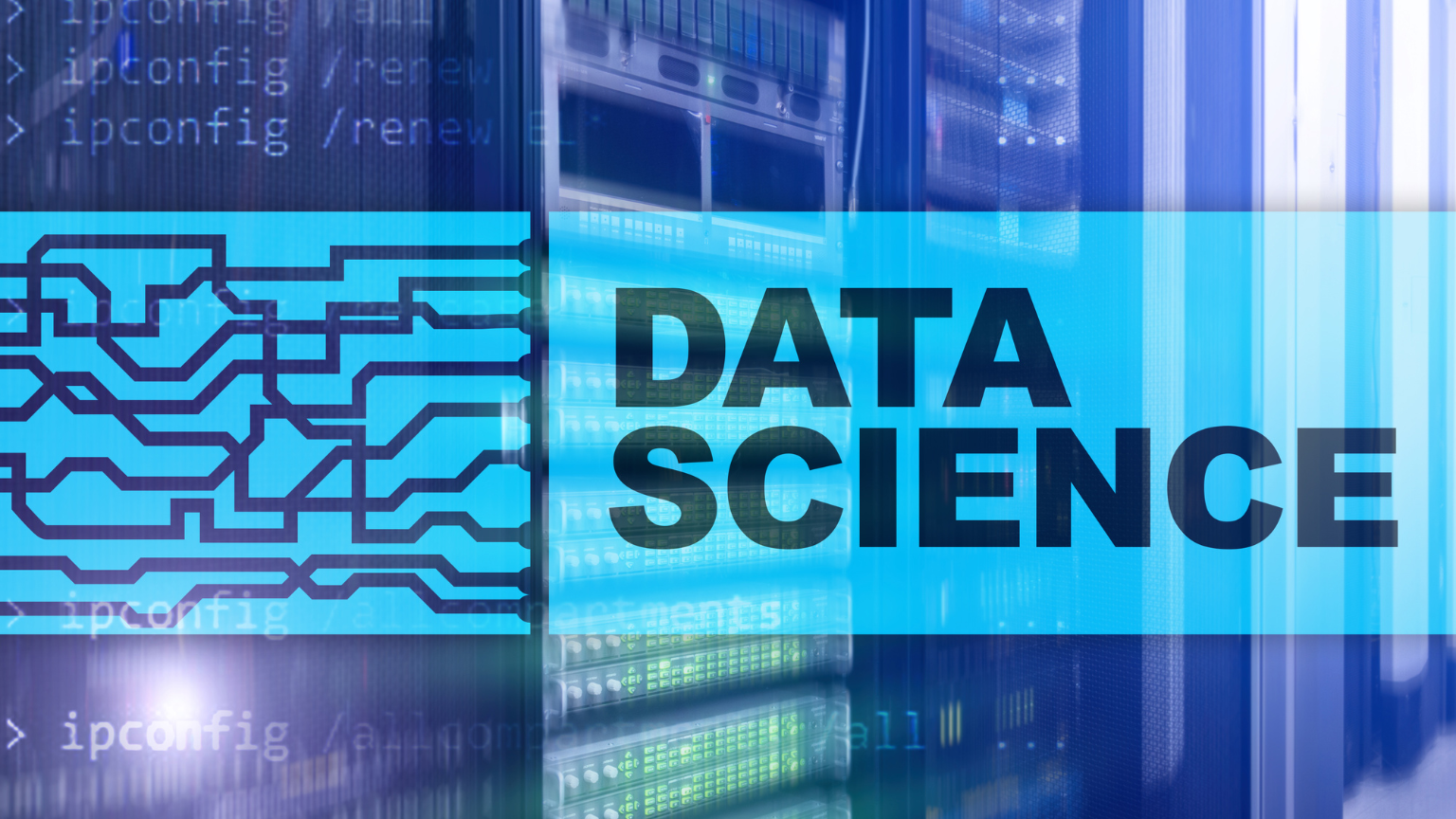 best data science bootcamps