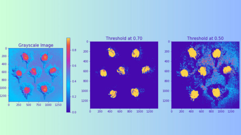 Best Image Segmentation Models: A Comprehensive Guide - Jonas Cleveland